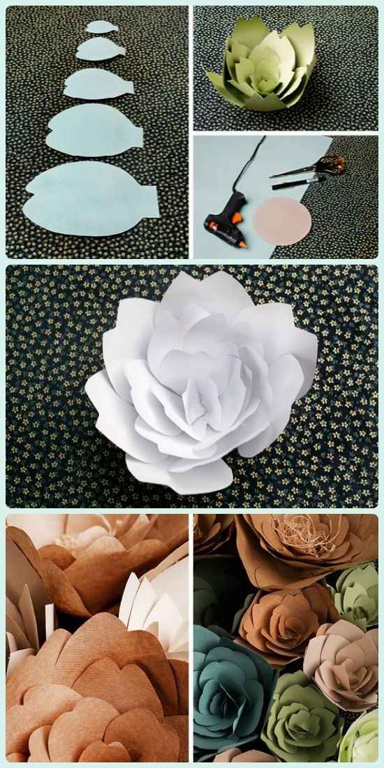 flor blanca