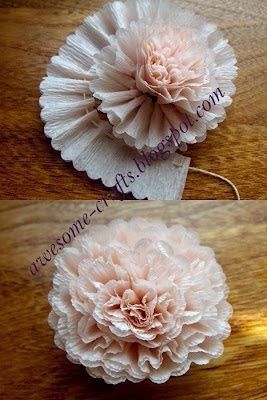 flor rosa palo