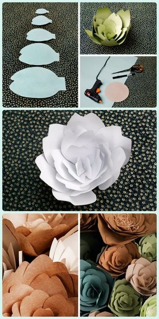 flor blanca