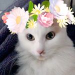 Cristina