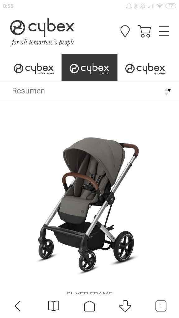 Ayuda carrito bebe - 4