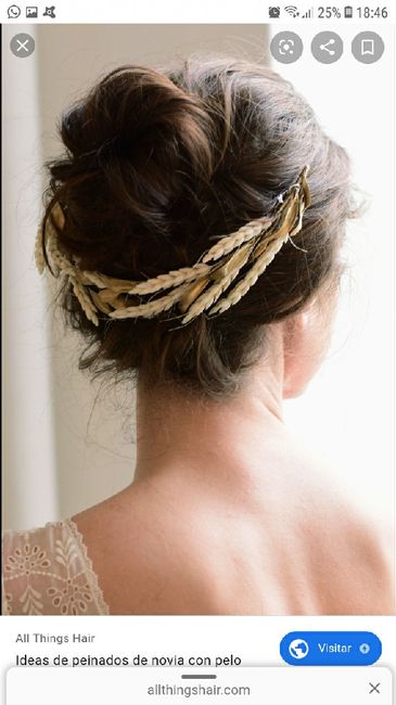 ¿Me enseñáis vuestras tiaras? 5