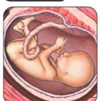 Mamas para julio 2015 :) - 1