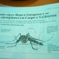 Viaje reservado punta cana  y embarazo ayuda!! - 1