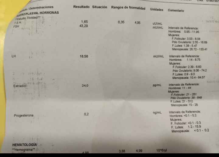 Ayuda con análisis hormonal 😫 - 1