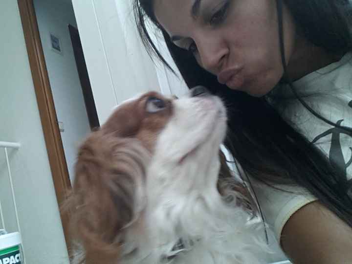 Nuestras mascotas!! - 1