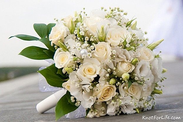 Flores.