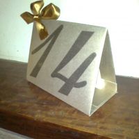 Numerador1
