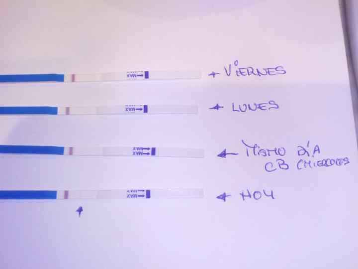ESTOS SON LOS MÍOS, EN EL CUARTO SE INTUYE ALGO DEJÁNDOTE LOS OJOS