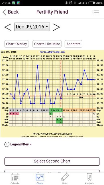 Buscadoras enero 2017 - 1