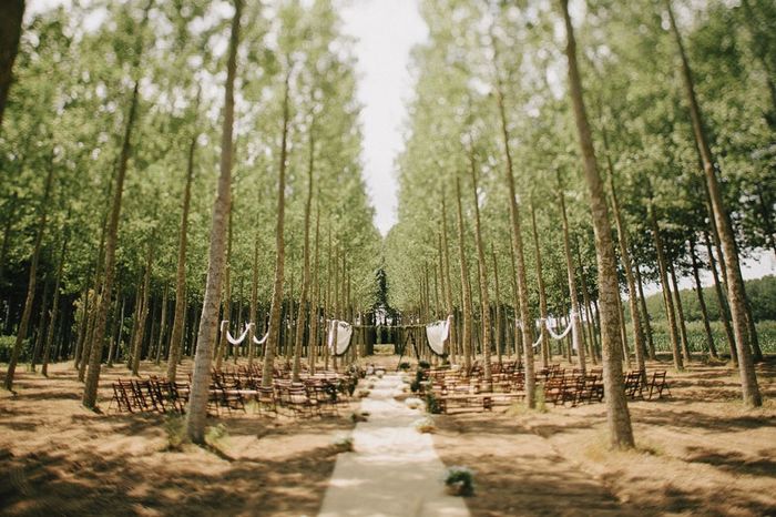 Boda en el bosque - 1