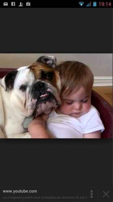 18 fotos de bebés con sus perros - Vota tu favorita - 1