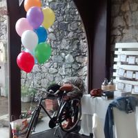 Bodas 2015 castillo arteaga :-) - 5