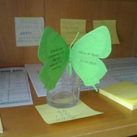 MARIPOSAS AGRADECIMIENTO