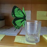 MARIPOSAS AGRADECIMIENTO