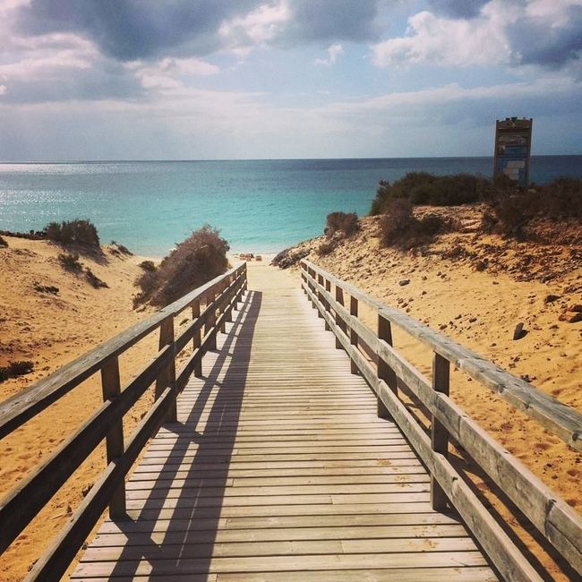 Baleares o Canarias 2