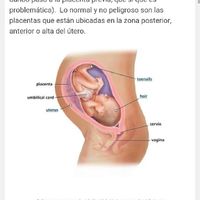 Nuevo futuras mamas enero 2017 - 1