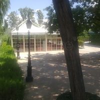 Carpa para el Cokctail