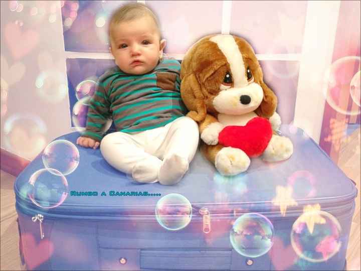 baby padawan 3meses 12dias