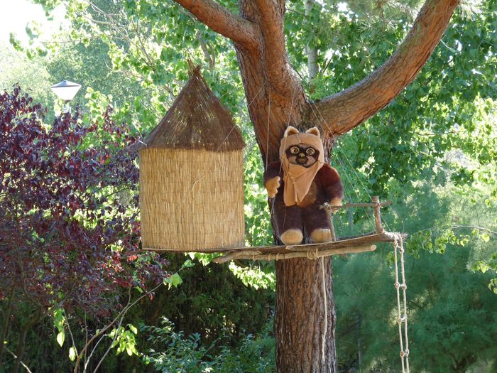 el ewok