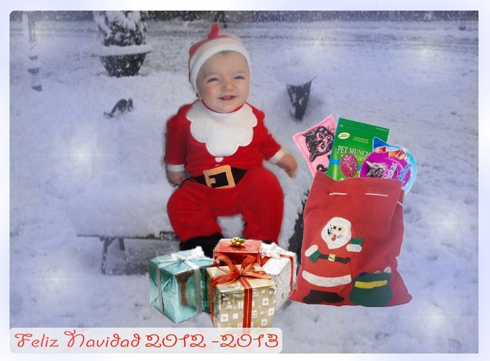 diario baby padawan 5meses y 14 dias