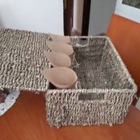 Cesta pétalos - 2