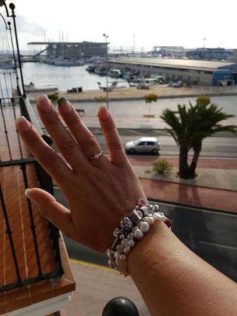 Mi pedida de mano sorpresaaaa - 4