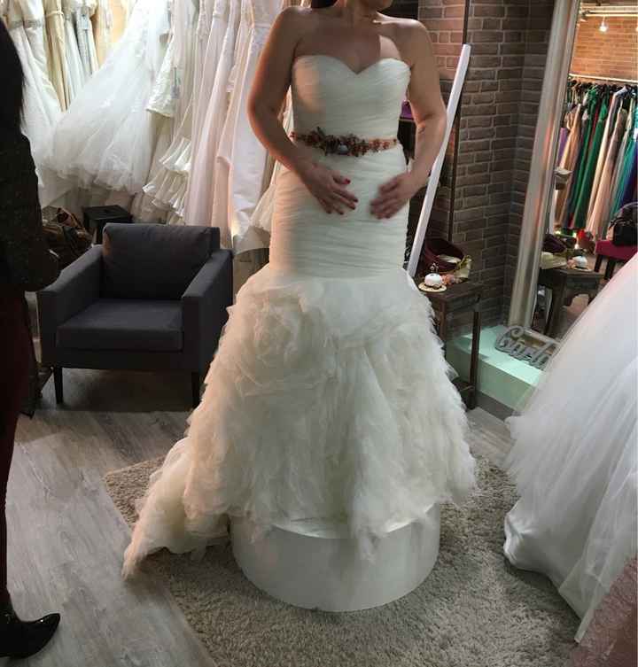 Sigo en la busqueda del vestido - 1
