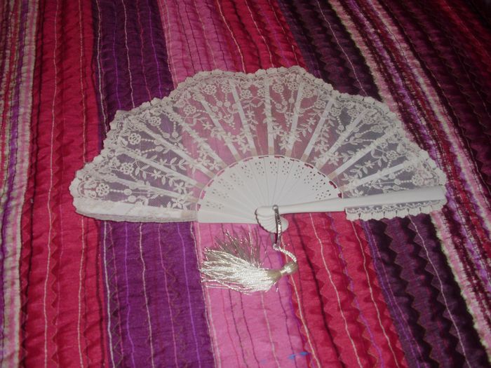 Mi abanico