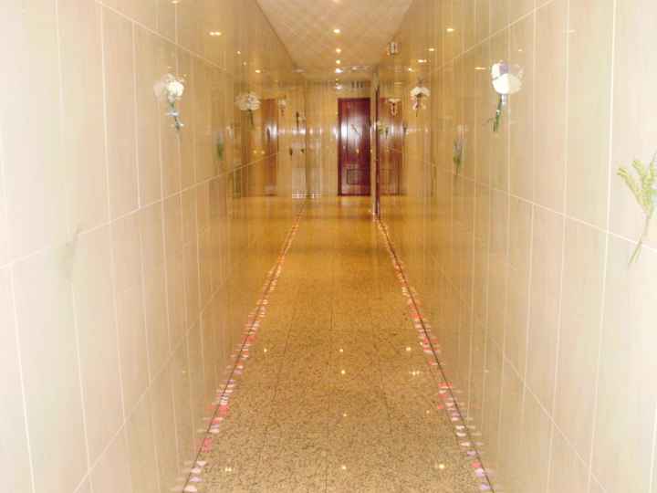 pasikko de corazones de papel