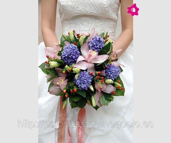 RAMO NOVIA