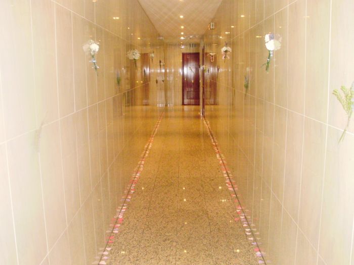 pasikko de corazones de papel
