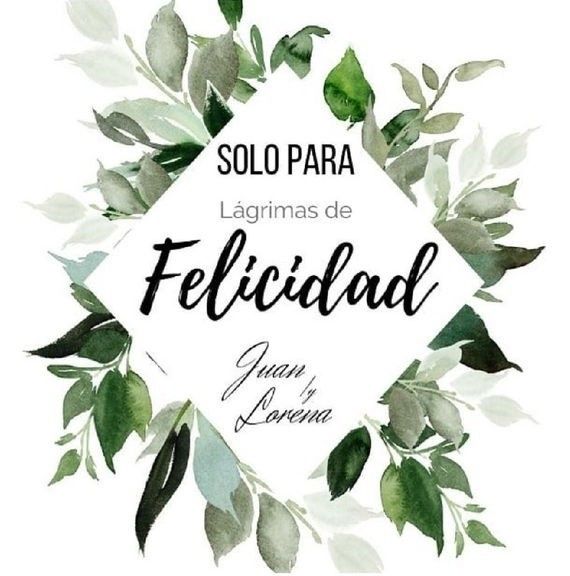 Lágrimas de felicidad 2
