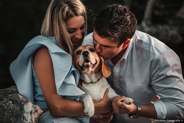 ¡GUAU! ¿Habrá perritos en vuestra boda? 🐶 1