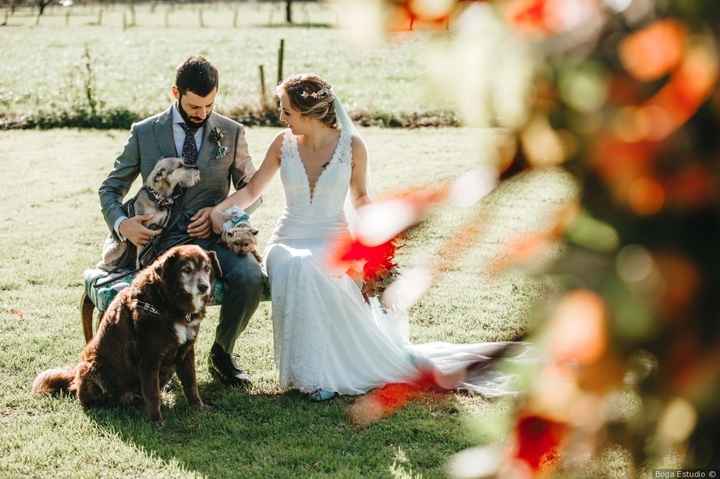 ¿Tendrán algún papel vuestros peluditos en la boda? 🐶 - 1