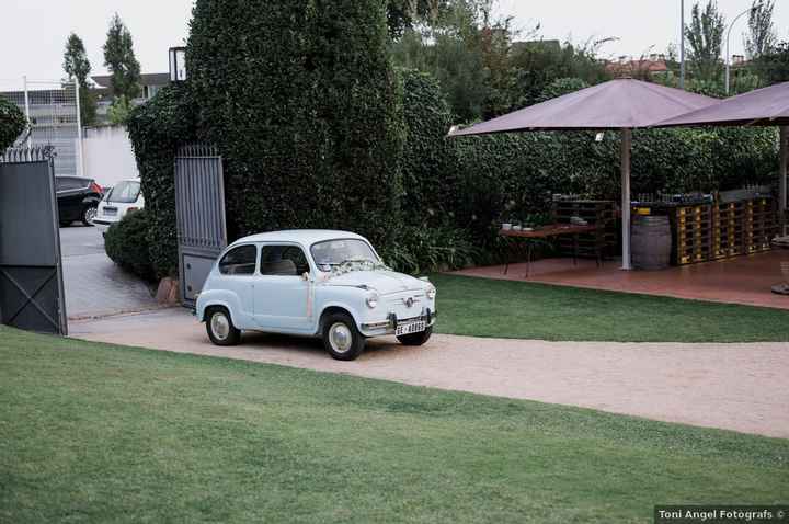 ¿Coche clásico o moderno? ¡Vota! 🙈 - 1