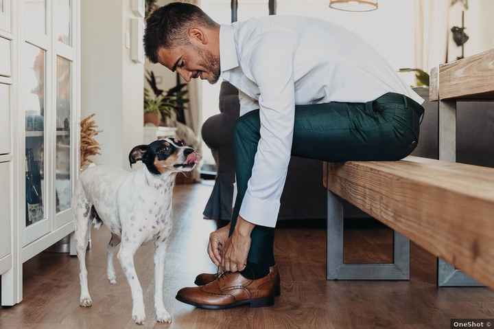 ¿Te harán compañía tus peludos mientras te arreglas para la boda? 🐶 - 1