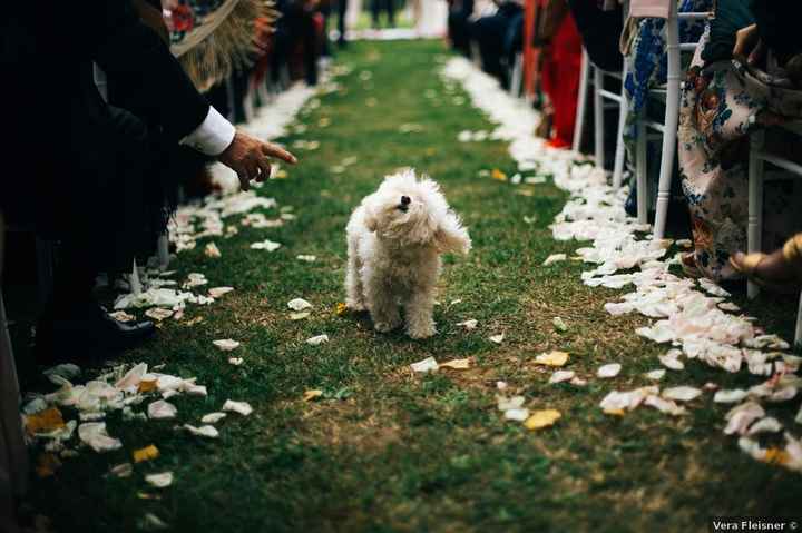 ¡Morirás del amor con este recibimiento en el altar! 😍 - 1