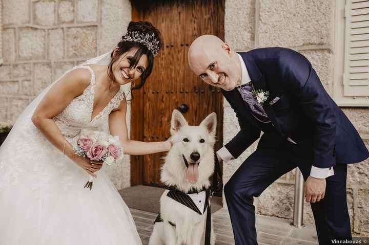 ¿Lo tendréis o no? Peluditos en la boda 🐶 - 1