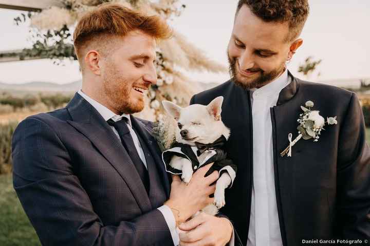 ¿Vestiréis a vuestro peludito con esmoquin para la boda? 🐶 - 1