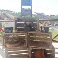 a 5 días!!! Preparativos y más preparativos! - 2