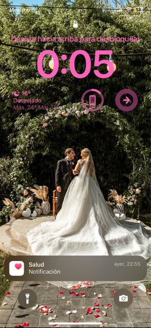 Fondo de pantalla: ¿Estándar o foto de pareja? 6