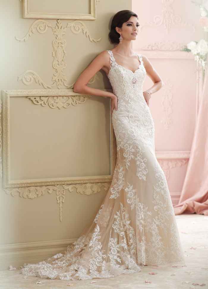 Ideas de vestidos 👗 de novia 👰🏼‍♀️ - 36