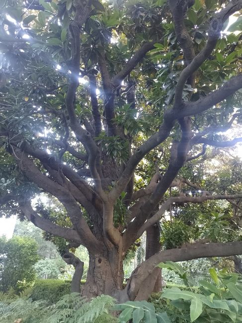 Tenemos lugar de ceremonia!! 2