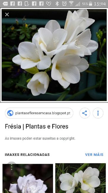 Un mar de dudas con el ramo!!! - 1