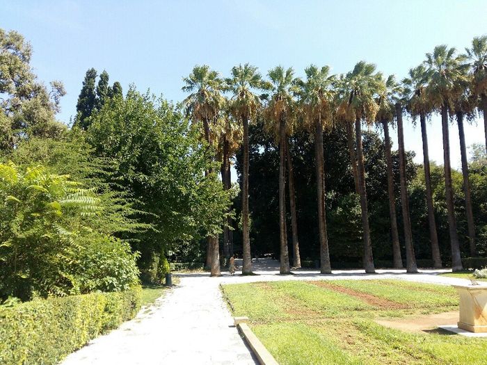 Atenas - 17