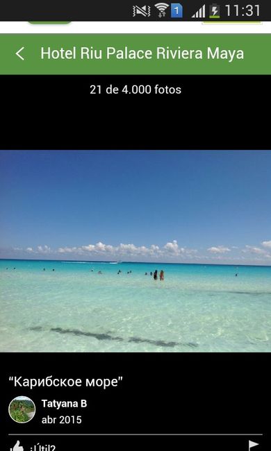 Riviera maya llena de algas!! - 1