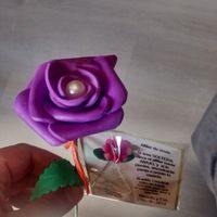 Mi rosas de goma eva - 1