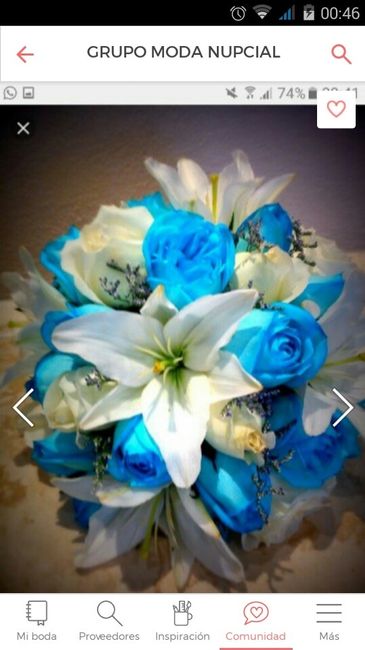 Ayuda!! elegir ramo novia azul - 1