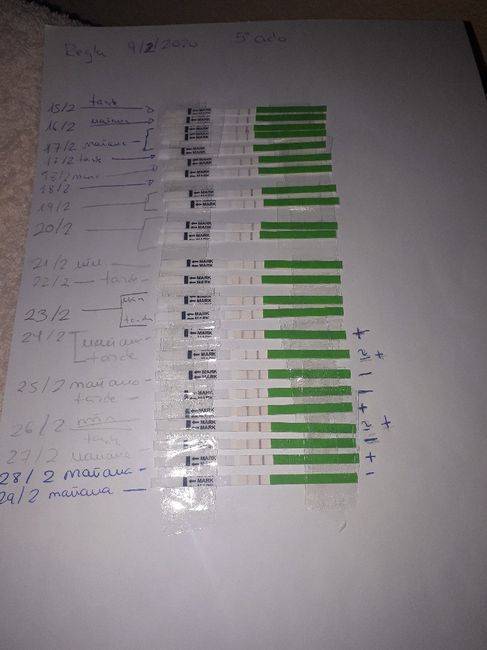 Test de ovulacion positivos y temperatura no sube 1
